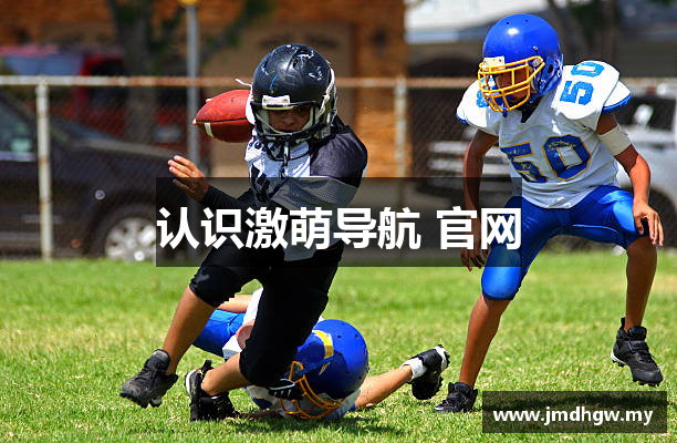 认识激萌导航 官网